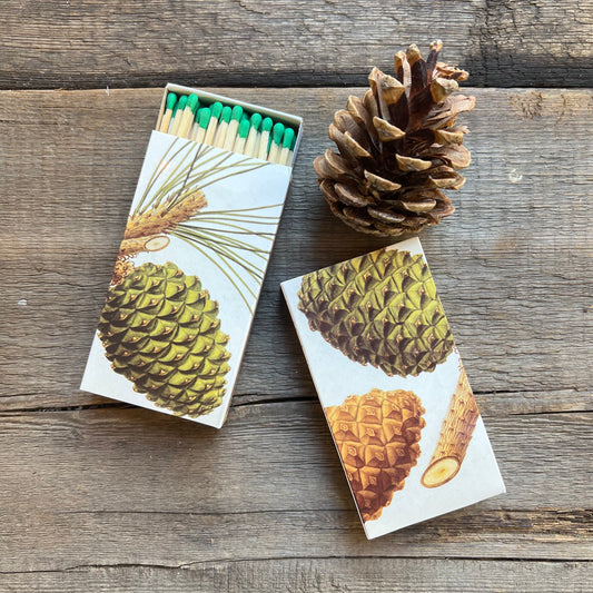 Pinecone Matches