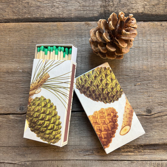 Pinecone Matches