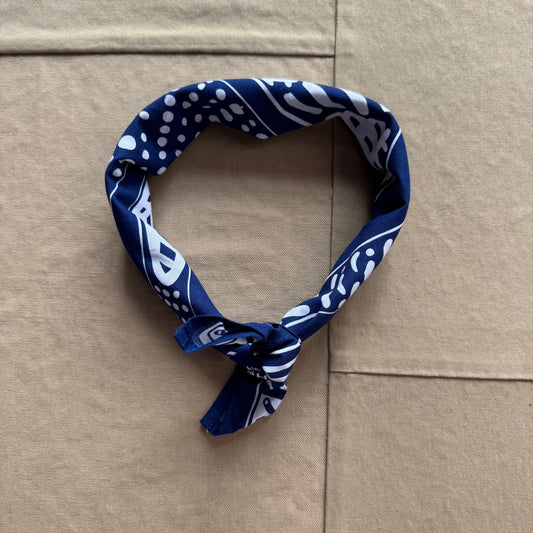 Sardine Bandana