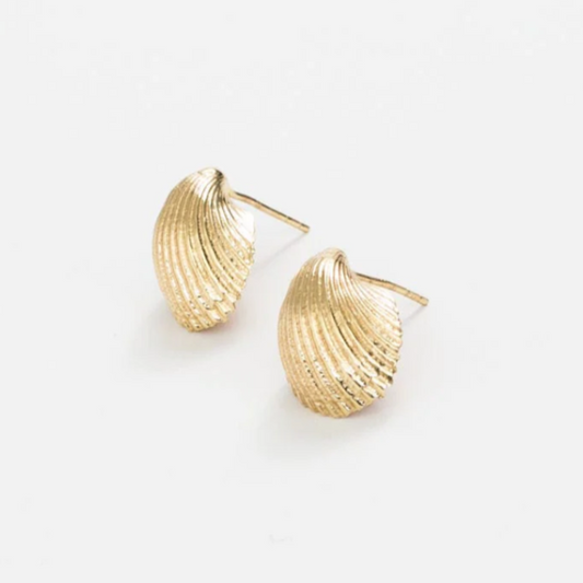 Pearl Cockle Shell Earrings, Brass