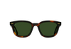 Myles Sunglasses, Kola Tortoise / Bottle Green
