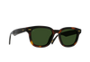 Myles Sunglasses, Kola Tortoise / Bottle Green