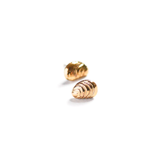 Ocean Shell Studs