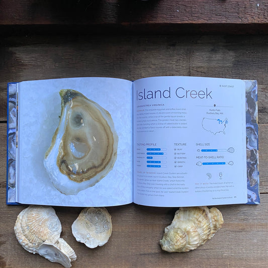 Appreciating Oysters
