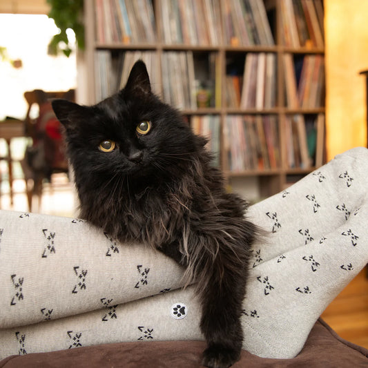 Socks That Save, Cats