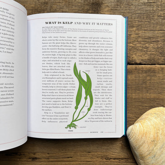 The Ocean, The Ultimate Handbook of Nautical Knowledge