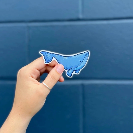 Whale Sticker