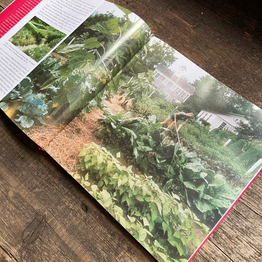 Entertaining by Martha Stewart