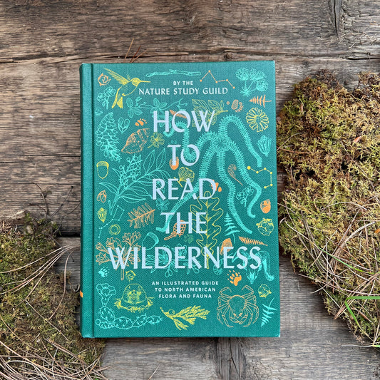 How To Read The Wilderness