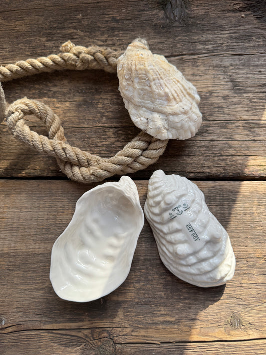 Oyster Shell Tray