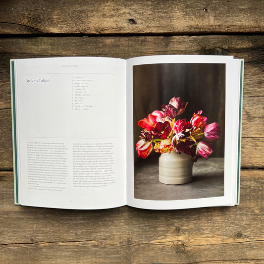 The Tulip Garden
