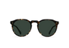 Remmy Sunglasses, Brindled Tortoise/Green Polarized