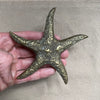 Vintage Brass Starfish