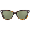 Saratoga, Tortoise + Green Polarized