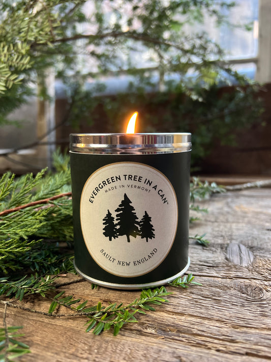 Evergreen Tree in a Can Candle